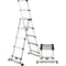 Telesteps Combi Ladder (10')