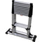 Telesteps Combi Ladder (14')