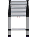 Telesteps 16' Professional Extension Ladder