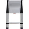 Telesteps 16' Professional Extension Ladder