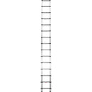 Telesteps 18' Professional Extension Ladder