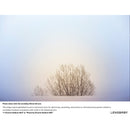 Lensbaby Velvet 56mm f/1.6 Lens for Fujifilm X