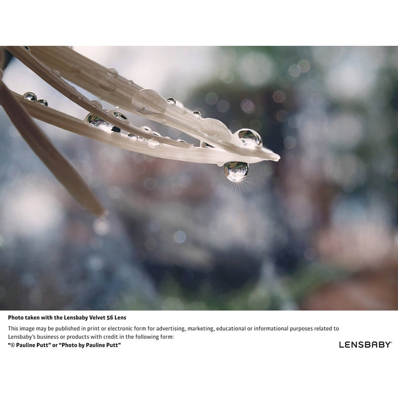 Lensbaby Velvet 56mm f/1.6 Lens for Sony E