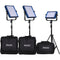 Dracast ENG Bi-Color 4-Light Kit with Sony V-Mount Battery Plates