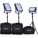 Dracast ENG Daylight 4-Light Kit with Anton Bauer Gold Mount Battery Plates