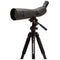 Celestron TrailSeeker 80 20-60x80 Spotting Scope (Angled Viewing)