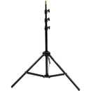 Impact One Monolight Kit (120VAC)