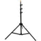 Impact One Monolight Kit (120VAC)