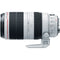 Canon EF 100-400mm f/4.5-5.6L IS II USM Lens