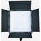 CAME-TV High CRI Digital 1024 Daylight LED 2-Light Kit