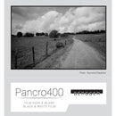 Bergger Pancro 400 Black and White Negative Film (8 x 10", 25 Sheets)