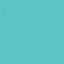 Savage Widetone Seamless Background Paper (