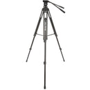Davis & Sanford Provista 7518B Tripod with V18 Fluid Head