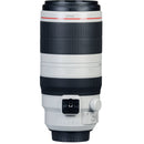 Canon EF 100-400mm f/4.5-5.6L IS II USM Lens