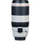 Canon EF 100-400mm f/4.5-5.6L IS II USM Lens