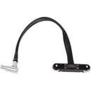 Wooden Camera RED Male Pogo to Male LEMO LCD/EVF Cable (12", Weapon/Scarlet with Raven)