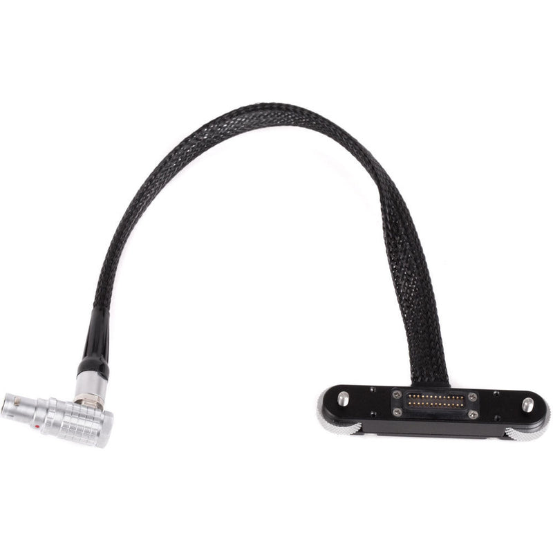 Wooden Camera RED Male Pogo to Male LEMO LCD/EVF Cable (12", Weapon/Scarlet with Raven)