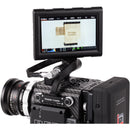 Wooden Camera RED Male Pogo to Male LEMO LCD/EVF Cable (12", Weapon/Scarlet with Raven)