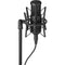 Senal SCM-660 Large-Diaphragm Multi-Pattern Condenser Microphone