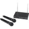 Samson Stage 200 Dual-Channel Handheld VHF Wireless System (Channel D)