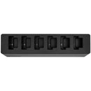 Transcend 6-Port DrivePro Body Docking Station