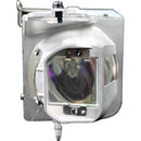 Optoma Technology Replacement Lamp for HD28DSE Projector (190W)