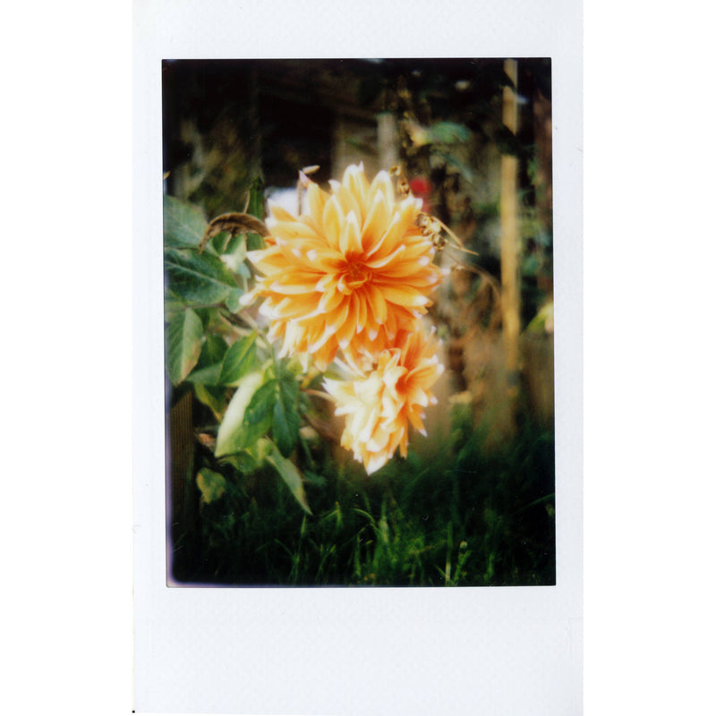 Mint Camera InstantFlex TL70 2.0 Instant Film Camera