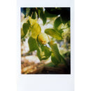 Mint Camera InstantFlex TL70 2.0 Instant Film Camera