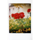 Mint Camera InstantFlex TL70 2.0 Instant Film Camera