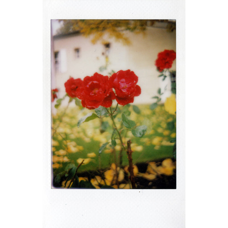 Mint Camera InstantFlex TL70 2.0 Instant Film Camera