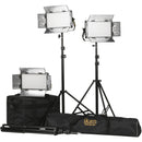 ikan Rayden Half x1 Daylight 5600 3-Point LED Light Kit