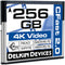 Delkin Devices 256GB Cinema CFast 2.0 Memory Card