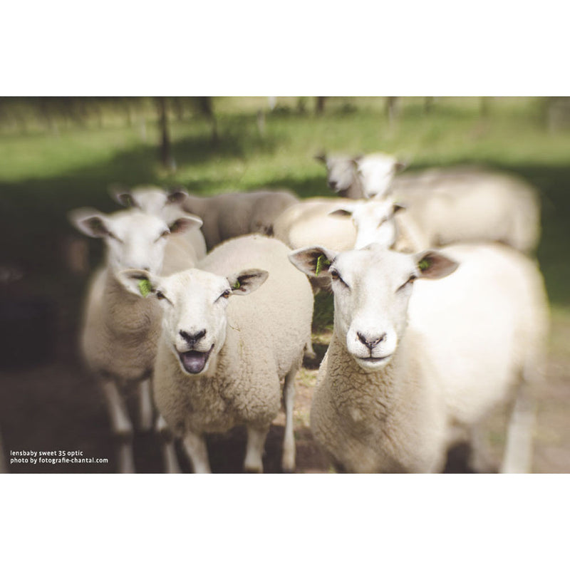 Lensbaby Composer Pro II with Sweet 35 Optic for Nikon F