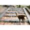 Lensbaby Composer Pro II with Sweet 50 Optic for Micro Four Thirds