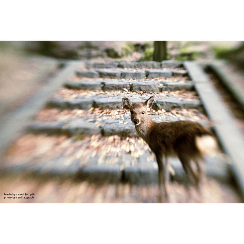 Lensbaby Composer Pro II with Sweet 50 Optic for Micro Four Thirds