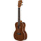 KALA KA-C Satin Concert Ukulele