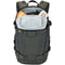 Lowepro Flipside Trek BP 250 AW Backpack (Gray/Dark Green)