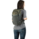 Lowepro Flipside Trek BP 250 AW Backpack (Gray/Dark Green)