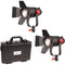CAME-TV Bolzen B30 Fresnel 30W 2-Light Kit