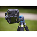 Novoflex Magicball Free Set with Housing