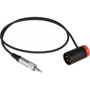 Cable Techniques 3.5mm TRS to Low-Profile XLR 3-Pin Male Cable for Sennheiser EK 2000 Receiver (24", Red Cap)