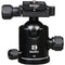 Benro B2 Double Action Ballhead