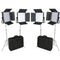 CAME-TV High CRI Digital 1024 Bi-Color LED 4-Light Kit