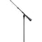 Atlas Sound PB11XEB Short 16.25-24.25" Adjustable Boom Arm (Ebony)