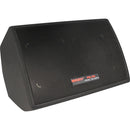 Nady PM-100 5" Nearfield Personal Stage Monitor Speaker
