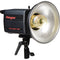 Photogenic PL1250 500W/s PowerLight Monolight (UV)
