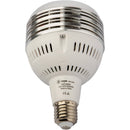 Raya 60W LED Daylight Studio Bulb