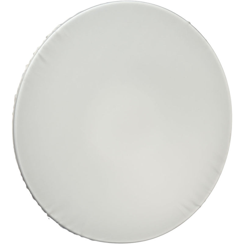 Quantum Instruments Beauty Dish with Grid and Diffuser