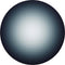 Sony FE 100mm f/2.8 STF GM OSS Lens