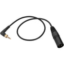 Senal Right-Angle Locking 1/8" Mini to 3-Pin XLR Output Cable (15")